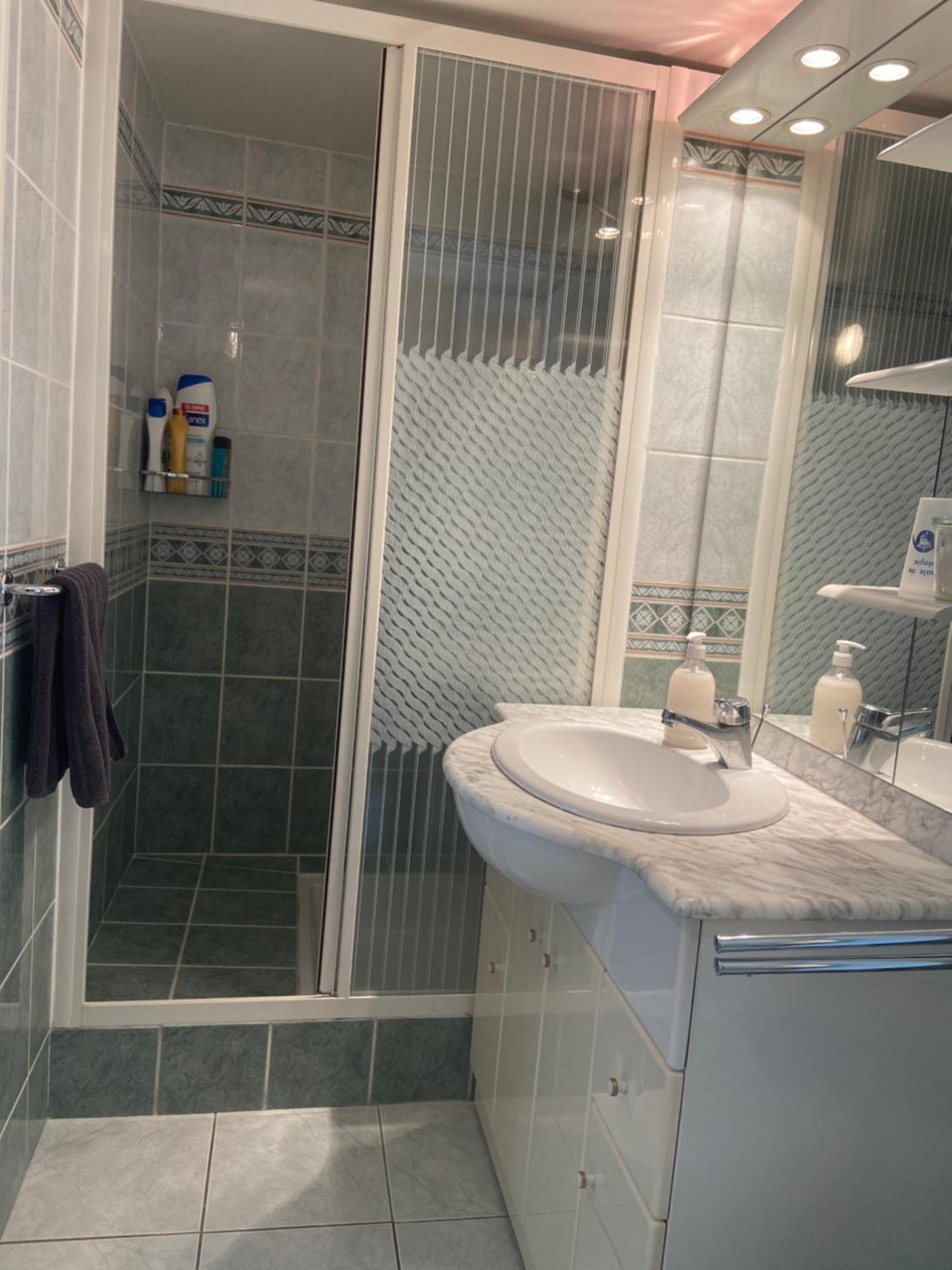 Sweet Home - 55M2 Appartment, Garden, Swimming Pool, Parking تولوز المظهر الخارجي الصورة